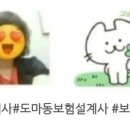 마장동김씨(오류점) 이미지