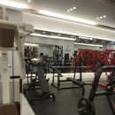 뉴 라이프 짐 이미지