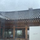 여성크로커다일직영서울남대문점 | 월간데이지 - 2020 9월호