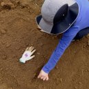 광성농장 이미지