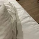 실제 투숙 후기 바탕으로 추린 울산 중구 숙소 정보