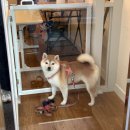 보송목욕탕 이미지