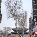 수원사 | 여자 셋의 템플스테이 솔직후기 ) <수원사> 1박2일 체험형 템플스테이