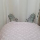 정성학 마취통증의학과의원 이미지