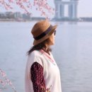 근화자전거상회