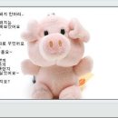 꿈꾸는돼지 이미지