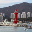 일광유치원 이미지