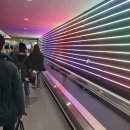 이인중학교 | 7박 8일 한국 여행.