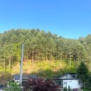 미끄라트 이미지