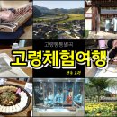 대가야손두부 | 가을 가볼만한곳 경북 고령체험여행 고령통통별곡