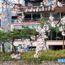 오리대가 이미지