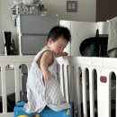 랑랑미용실 - 서구 승학로 223 | 랑랑이 적응필요 시간 10개월, 아기한테 다가가는 중