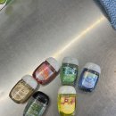 아그네스모텔 | [호주 일기-4월] 브리즈번에서 타운즈빌로, 2박 3일간의 지역이동