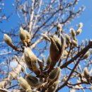 외씨버선길(오일도시인의길) 이미지