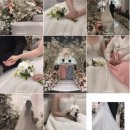 모먼트하우스 | 부산 "베어모먼트 하우스" 화이트홀 감성 아이폰 스냅 계약 후기 및 추천 (내돈내산)