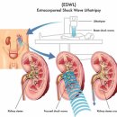 연세두루의원 이미지