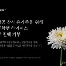 하이플러스 이미지