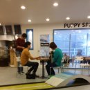 폴인퍼피 이미지