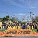 디지털 문해교육-오후 네이버블로그