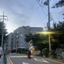 내재산재개발공인중개사사무소 네이버블로그