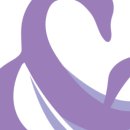 워시 앤 드라이 이미지