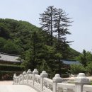 신흥사 이미지