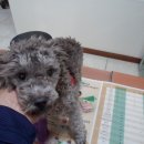 신월동102 이미지