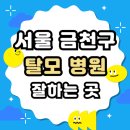 시흥5동주민센터 | 서울 금천구 탈모 전문 병원 두피 탈모관리 잘하는 곳 추천 List