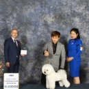 LIKE FRISE 이미지