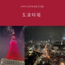 세정타워 앞 횡단보도 | 시부야 도쿄타워 포토스팟 예약 방법 및 아이스크림 먹으며 야경 후기