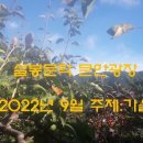 주제광장 이미지