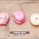 MR.SOON-미스터순 이미지