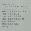 시온한방병원 | [신혼부부] 수원 시온여성병원 산부인과 산전검사 결과 후기 :: AMH 난소나이검사, 피검사 결과, 추천...