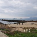 예산군 버스투어 | 대만 예스진지 버스투어 후기, 타이페이 근교여행 할인