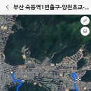 양천초교 이미지