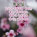 행복한아침