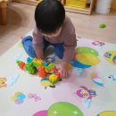 스테고사우루스-2 이미지