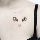 PET사랑 이미지