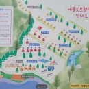 얼음골애플오토캠핑장