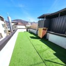 댕댕이 지구대 이미지