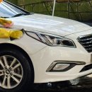 월드손세차장 이미지