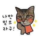 피지오핏 이미지