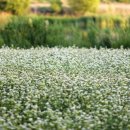 직업상담사 필기 - 직업상담학 이미지