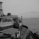 씨애틀 여관 이미지