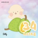 남구-19 | P21. [임신 후기] 아기방 꾸미기 34주-35주