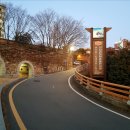 테디베어스 이미지