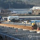 부여육종 이미지