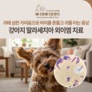 애니컴 메디컬센터 이미지