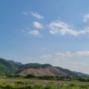 에스 행정사 사무소 이미지