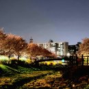 은하수 초등학교 쪽 이미지